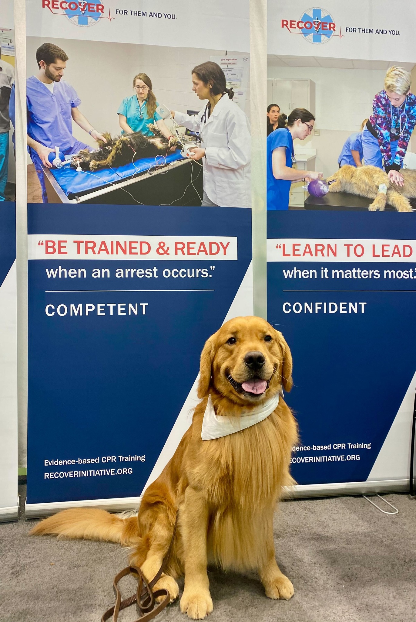 RECOVER - 🐾 VMX 2025 is officially in the books! 🐾 Thank... | Facebook