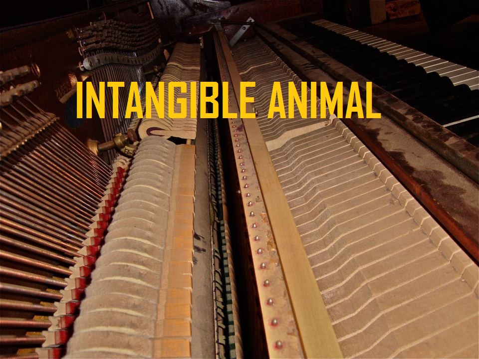 Intangible Animal