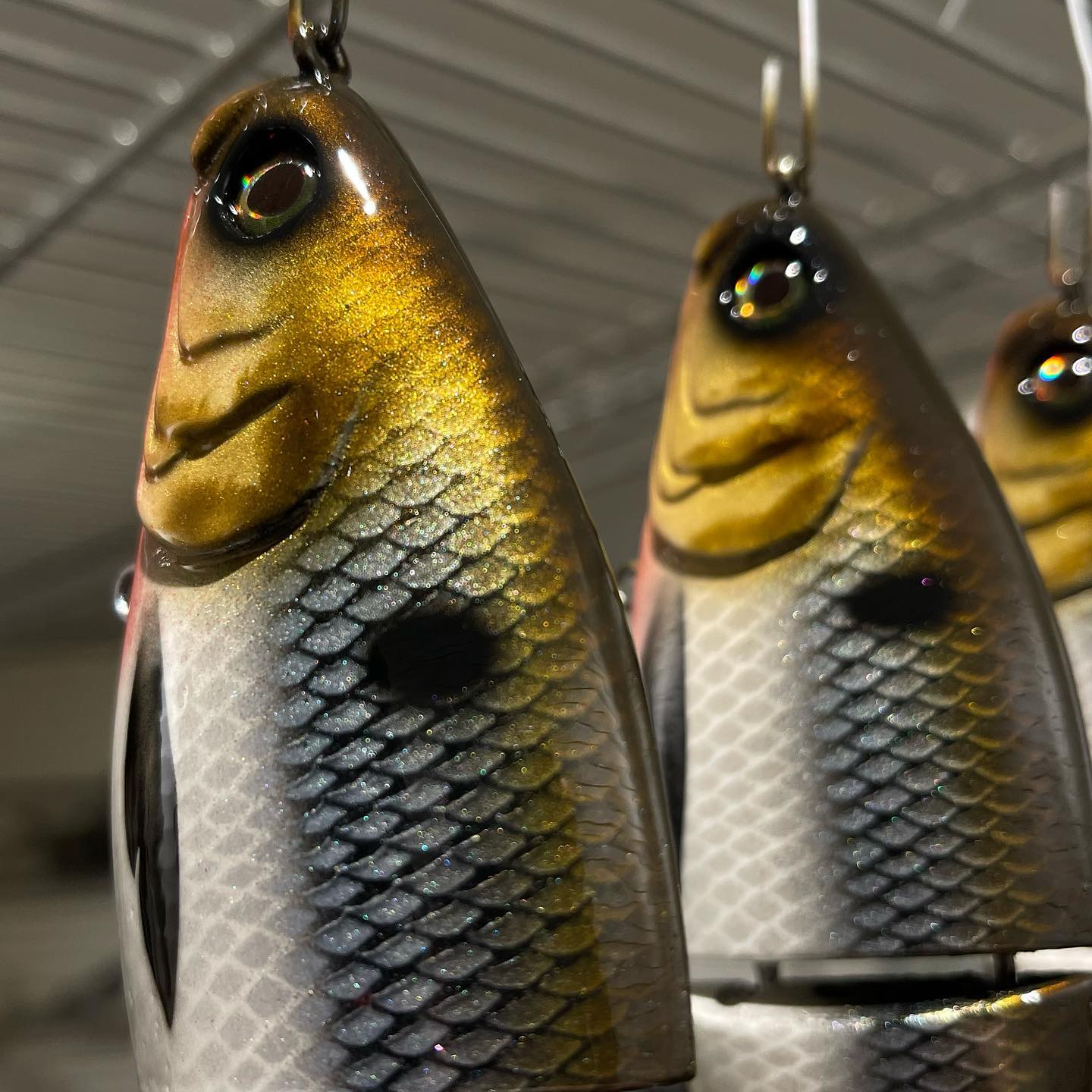 Fish Everything