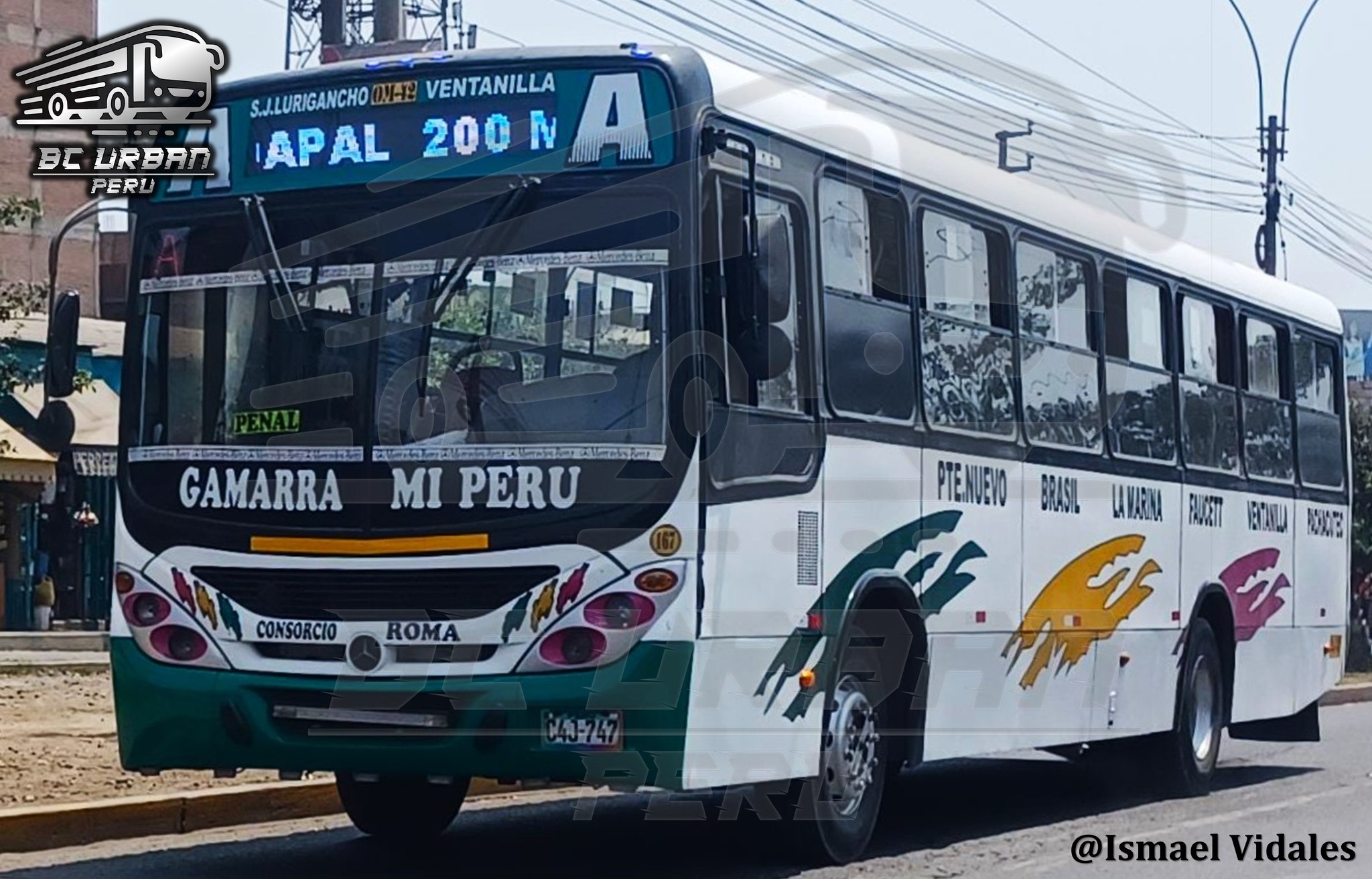 BC - (PERÚ, LIMA, San Juan de Lurigancho) Llamativo bus Marcopolo ...