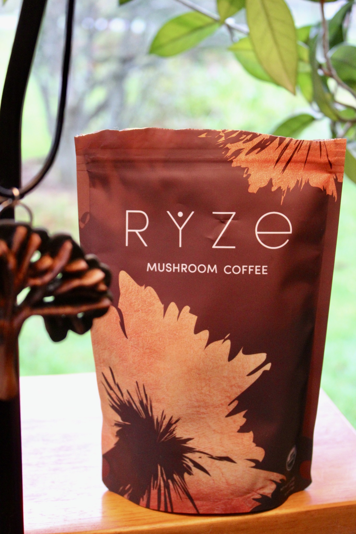 Mushroom Coffee (1 pack - 30 Servings) - RYZE Mushroom Coffee