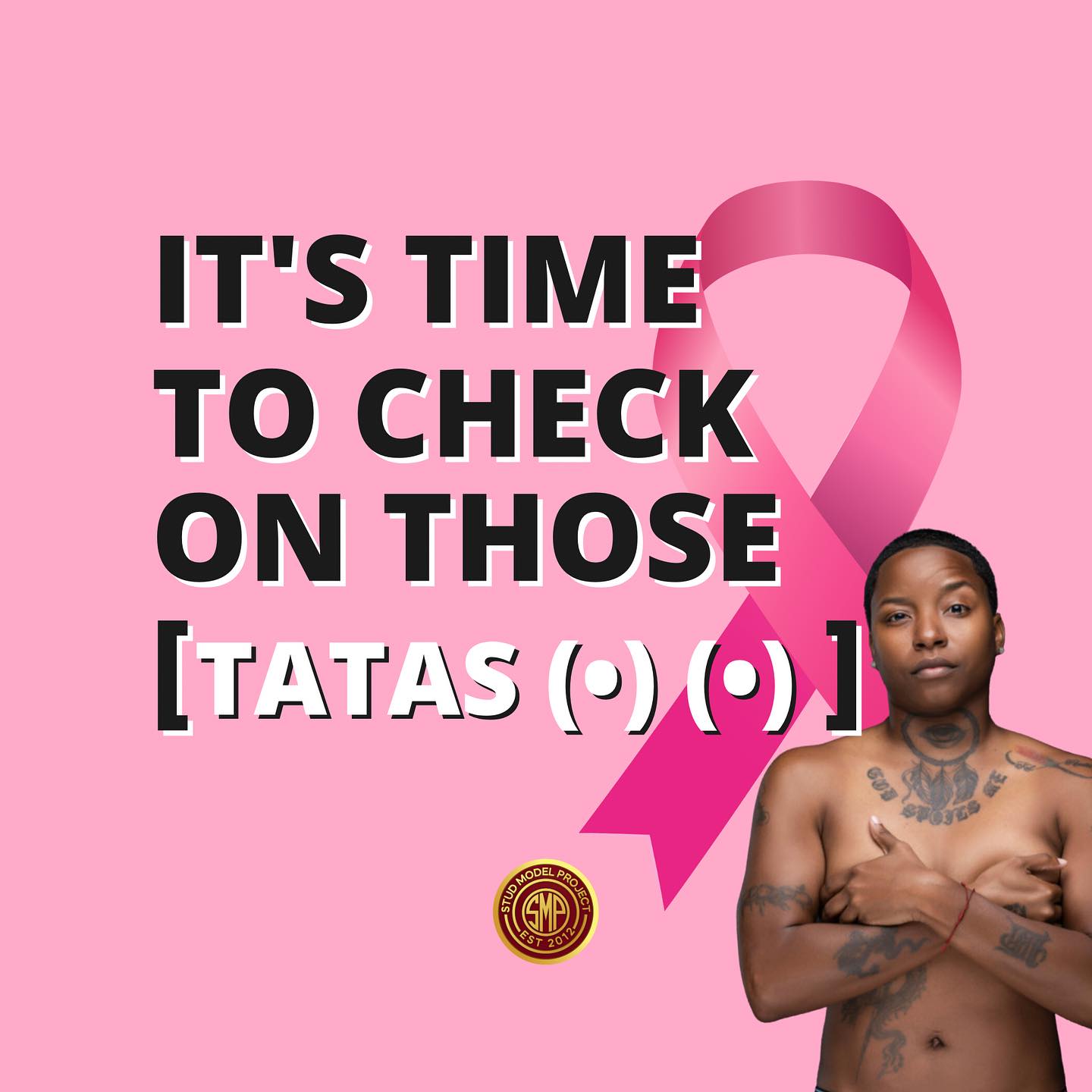 🎗️ Embracing Diversity in Breast... - Stud Model Project