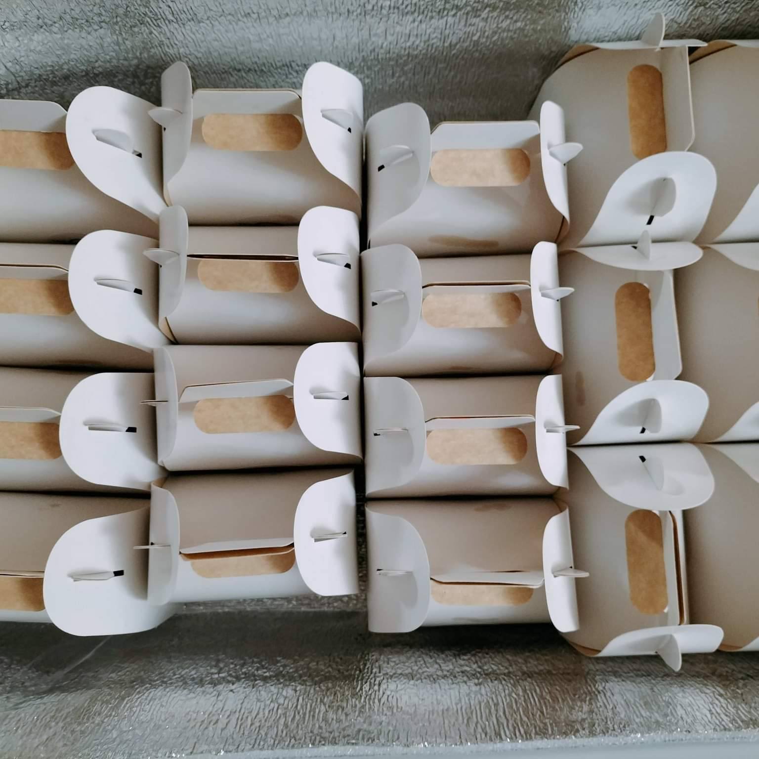 The Egg Drop Project - Santa Rosa | Santa Rosa
