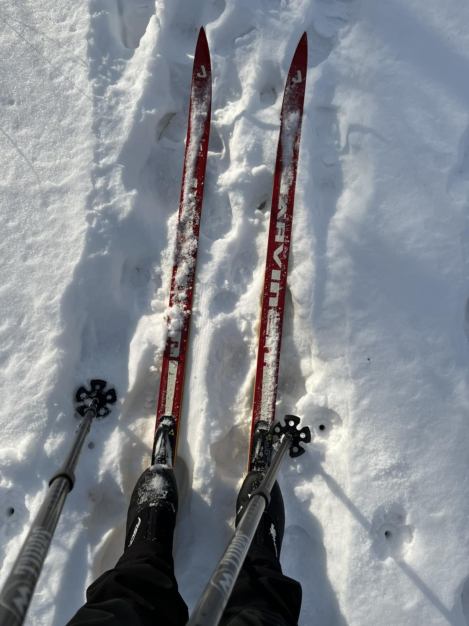 can i put nnn bc bindings on salomon snowscape ski NordicStep Boot Binding — ebsadventure efficient and fun Can vintage wooden XC skis