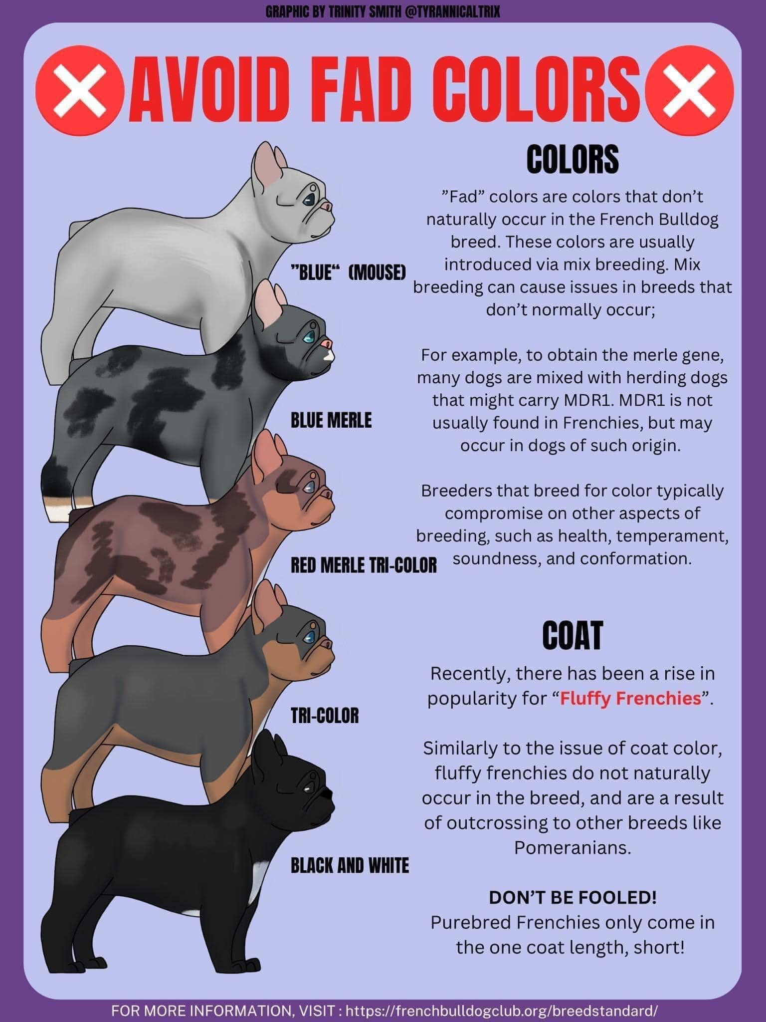 What is a fad color and why does... - Ashlan French Bulldogs | Facebook