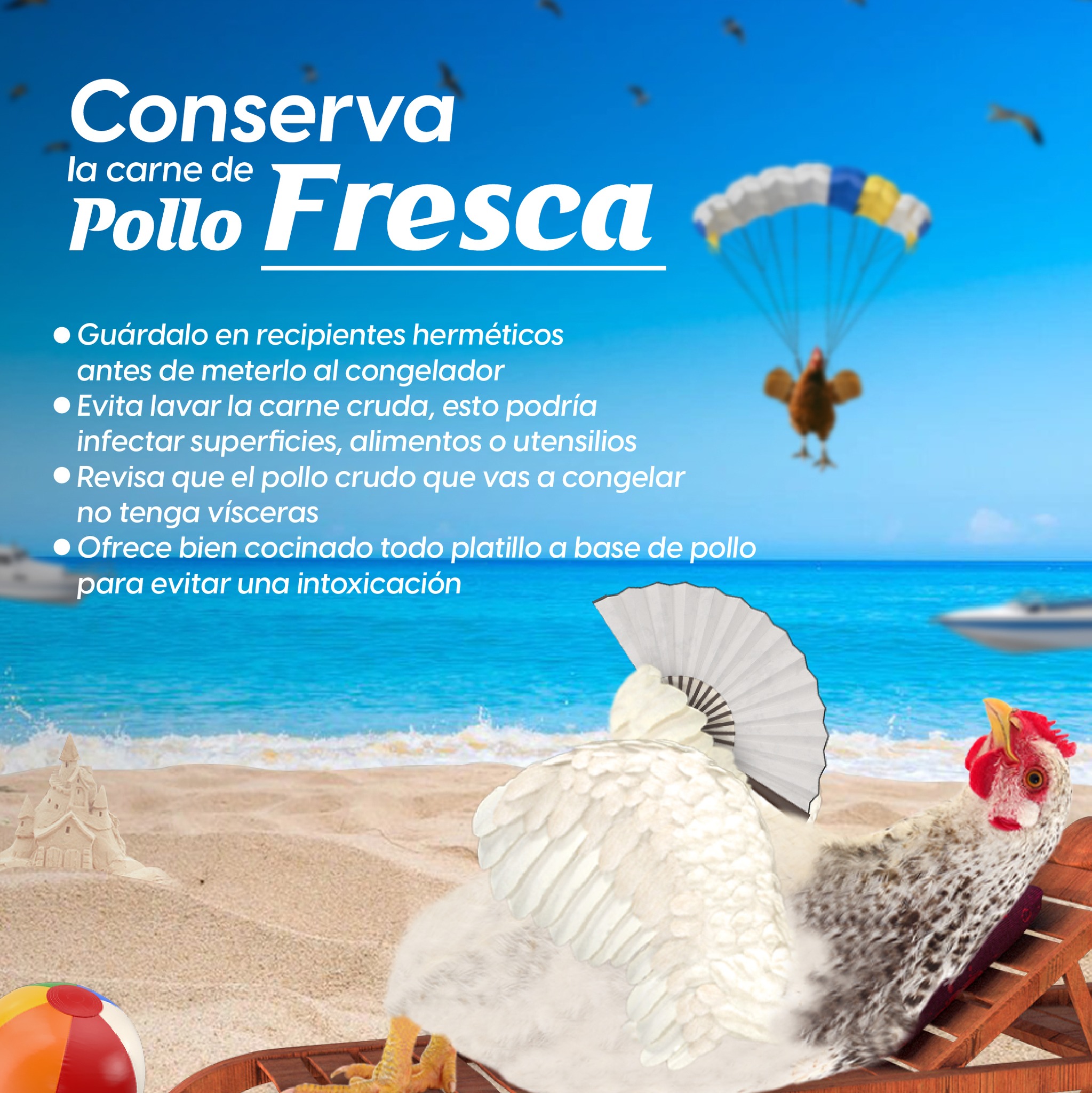 Avícola Johnny - ¡Que tu pollo mantenga su frescura es muy... | Facebook