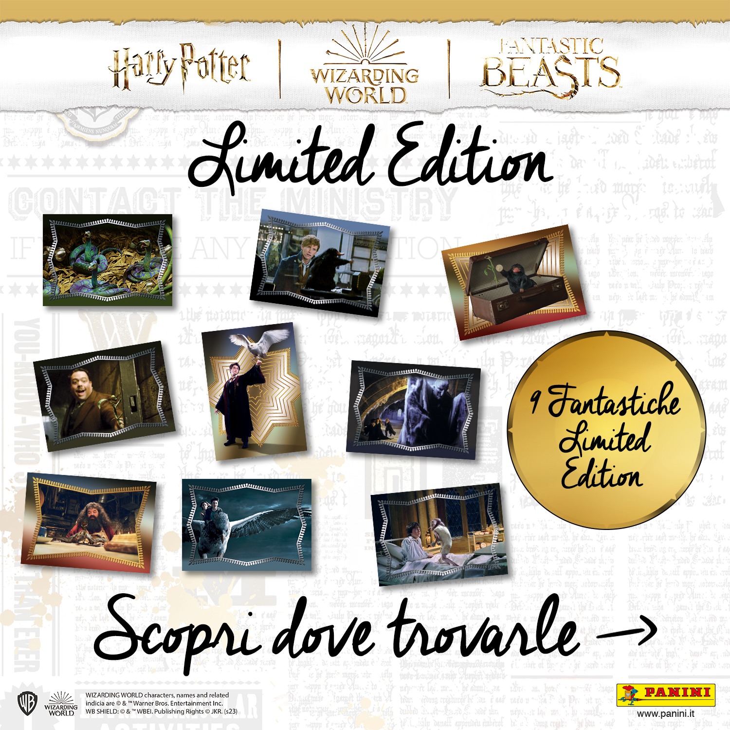 HARRY POTTER - Collection de Trading Cards - Blister de 3 pochettes de 6 cartes