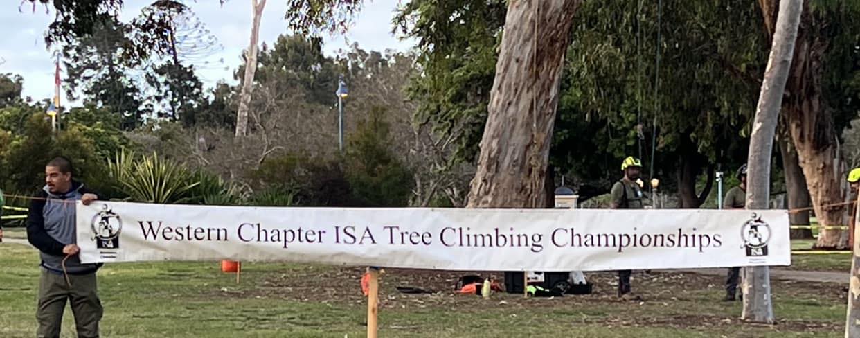 Western Chapter Tree Climbing Competition
