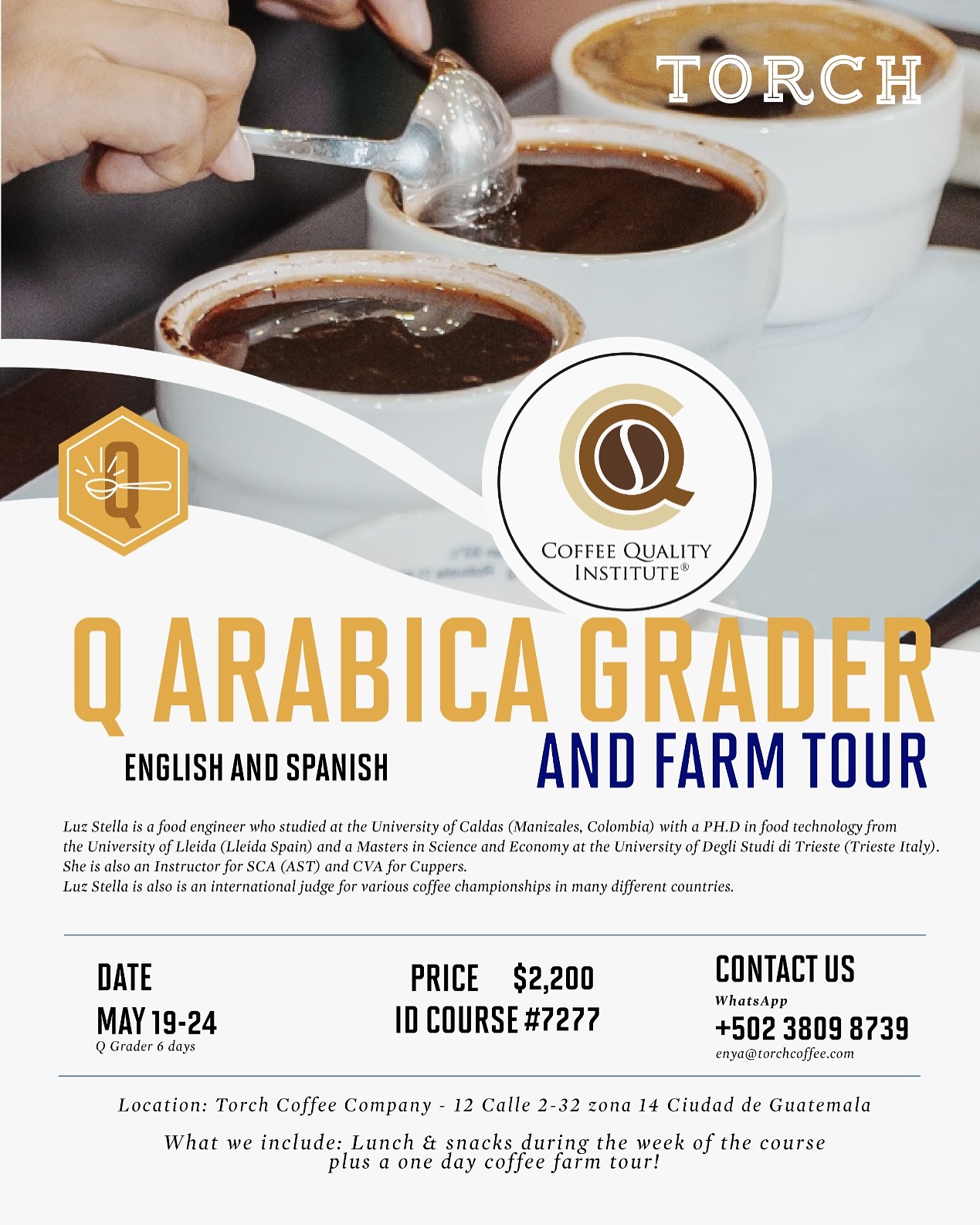 Torch Coffee Guatemala | Guatemala City