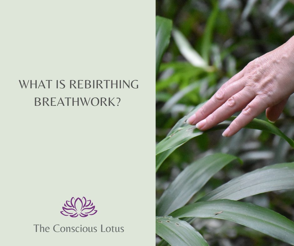 🌿 What is Rebirthing Breathwork?... - The Conscious Lotus | Facebook