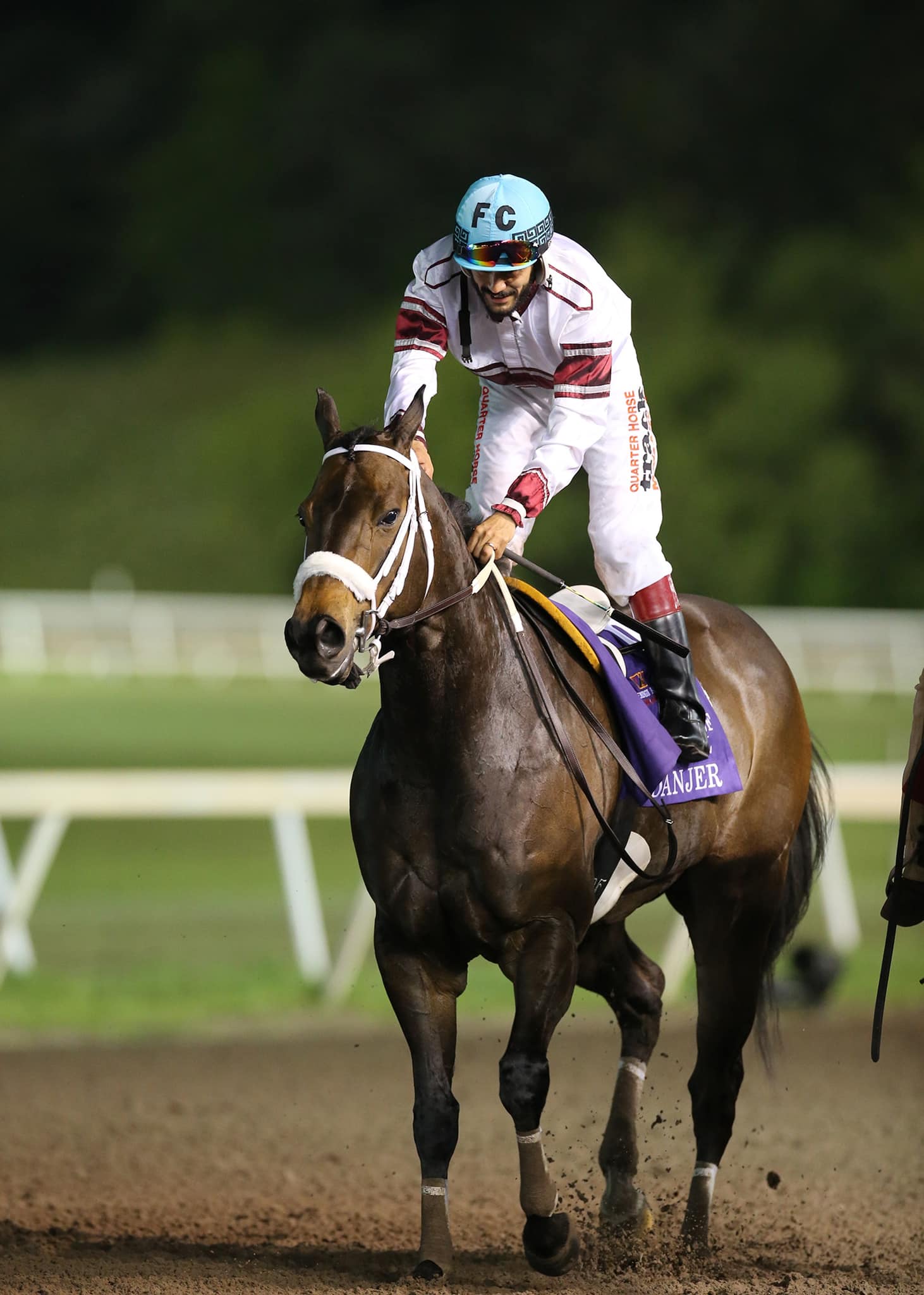 Remington - Danjer, the 2021 American Quarter Horse Association World ...