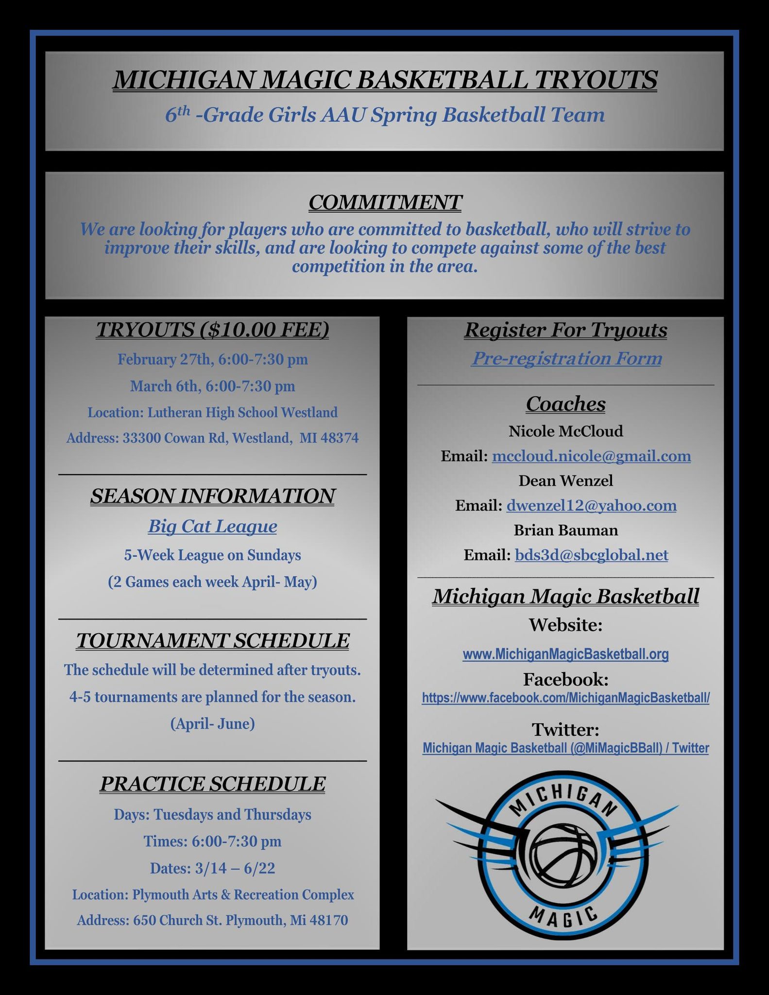 Michigan Magic Basketball