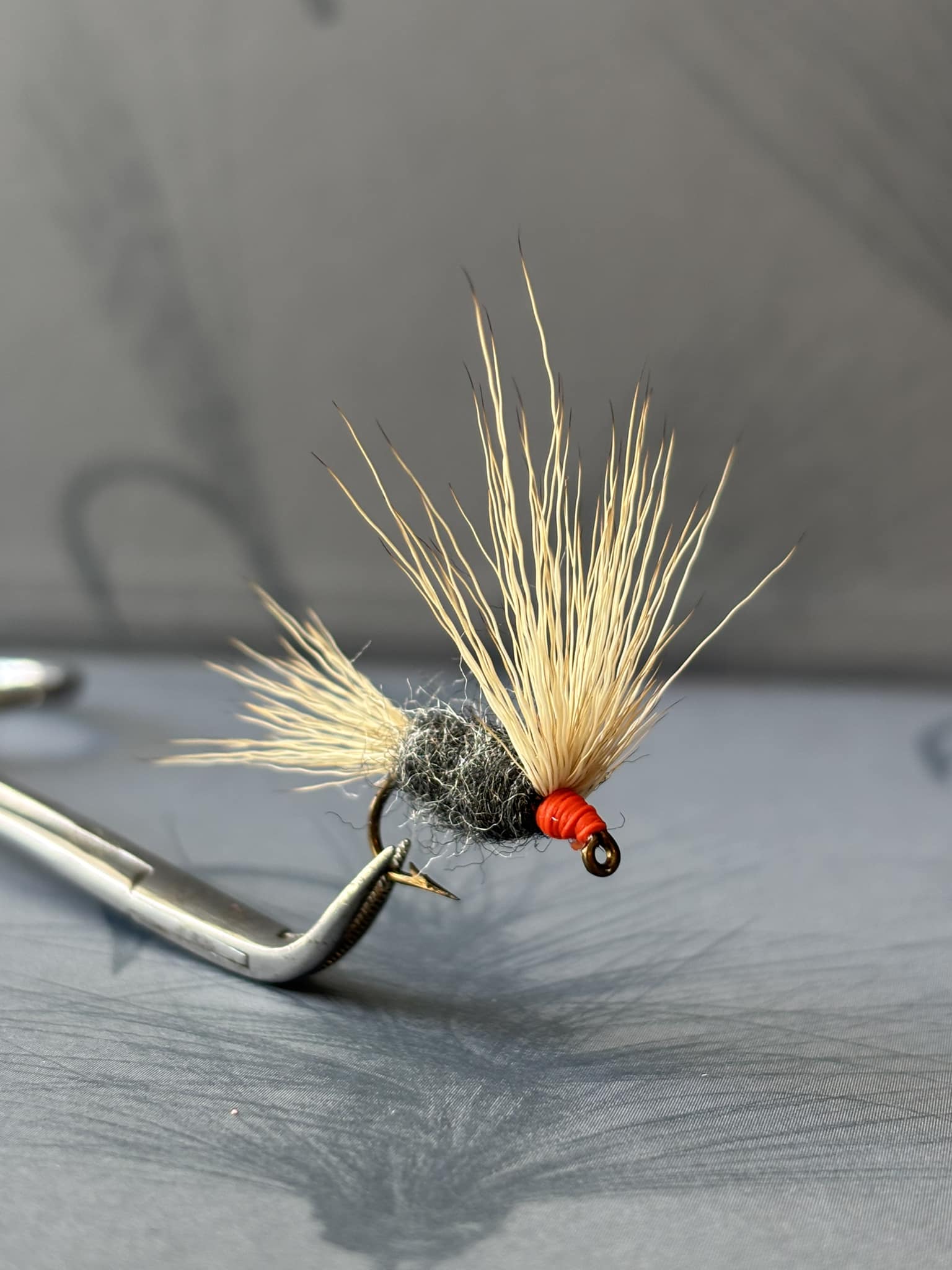 Flies By Alexa | Mayfield NY