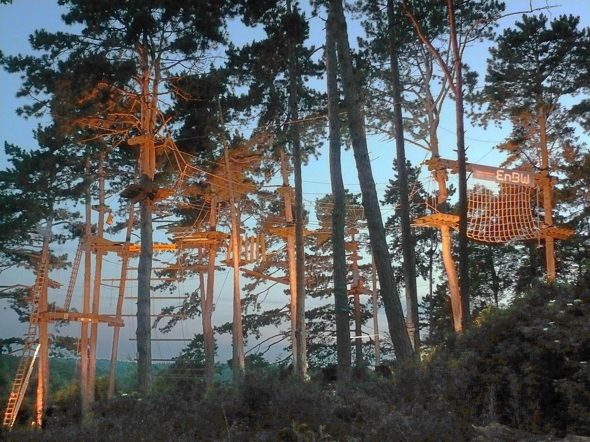 Waldseilgarten Boxberg | Boxberg