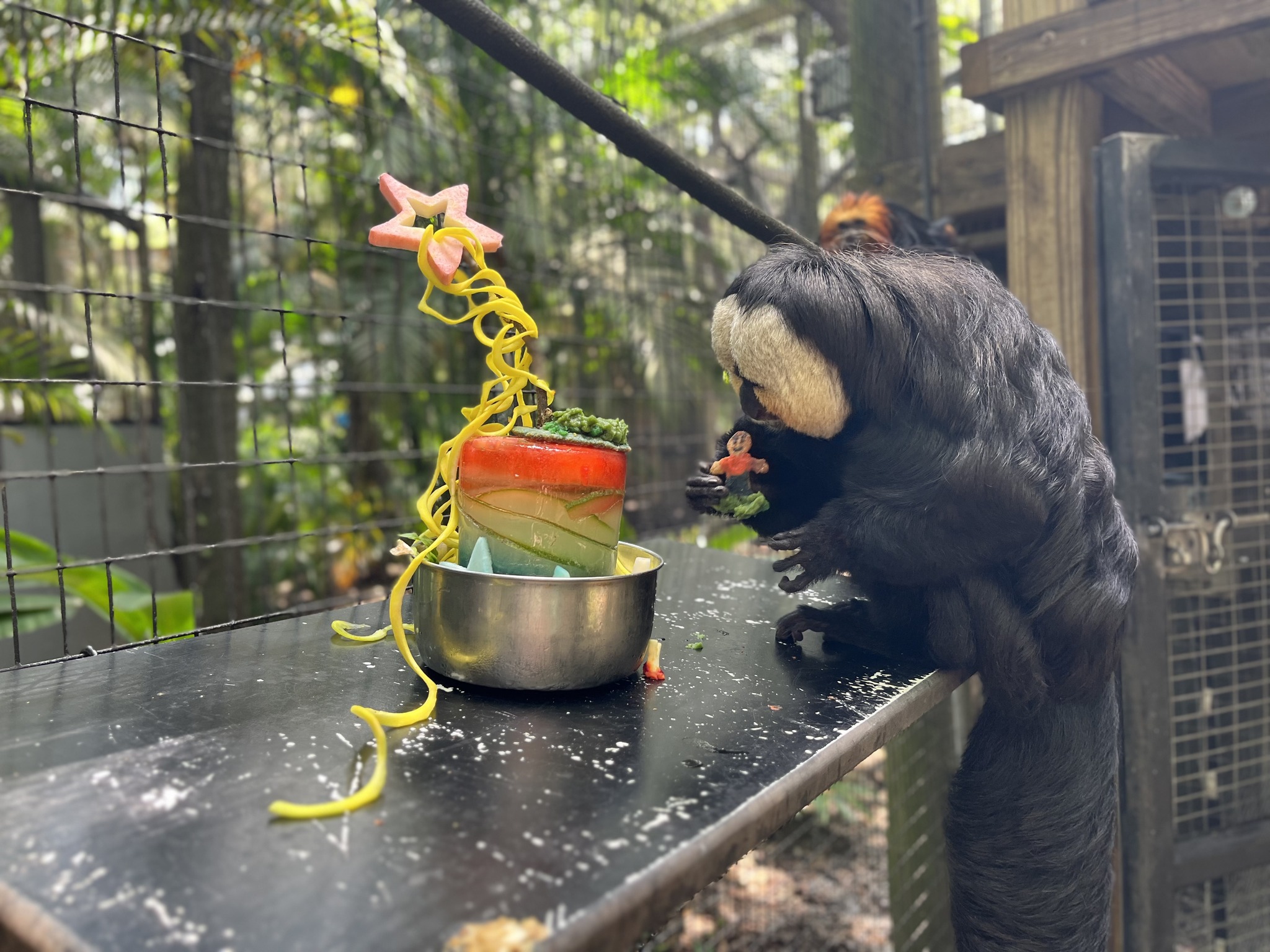 Brevard Zoo - Not quite done celebrating the Fourth of...