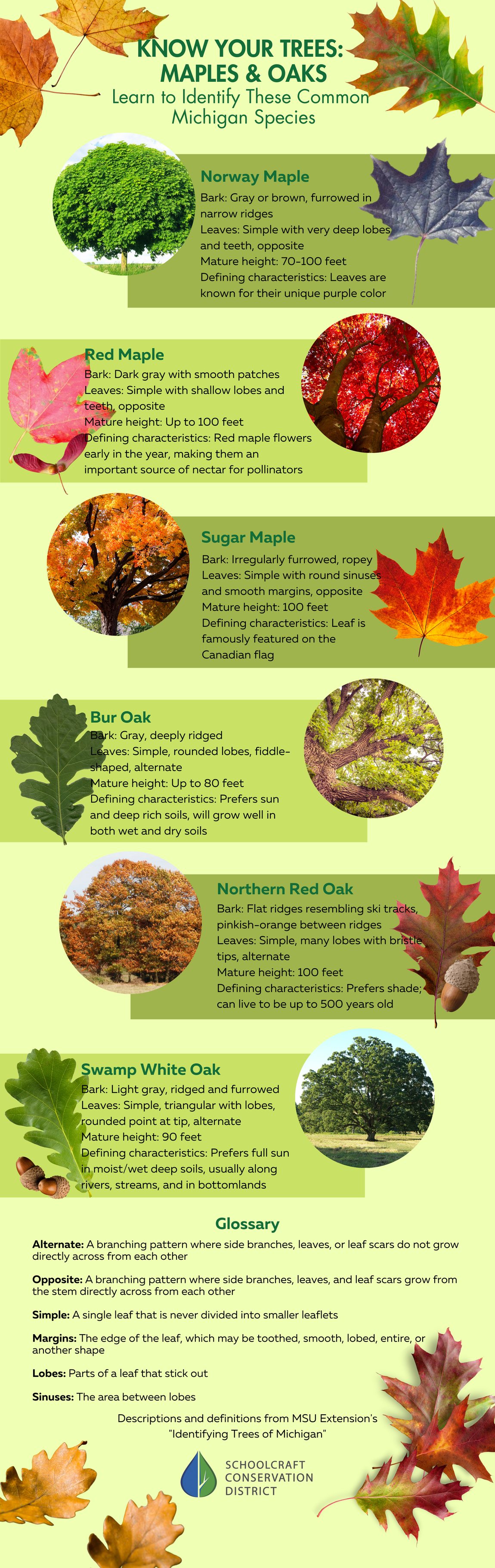 Can you identify these... - Schoolcraft Conservation District | Facebook