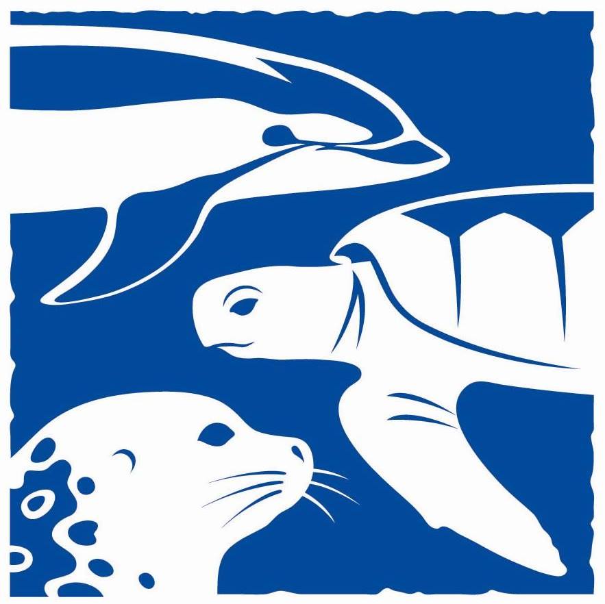 🌊 Calling all ocean lovers!... - National Marine Life Center | Facebook