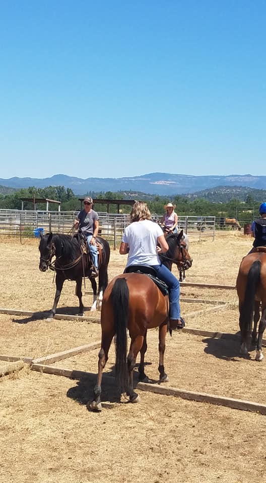 For everyone that has been asking... - Kim Ewalt Horsemanship | Facebook