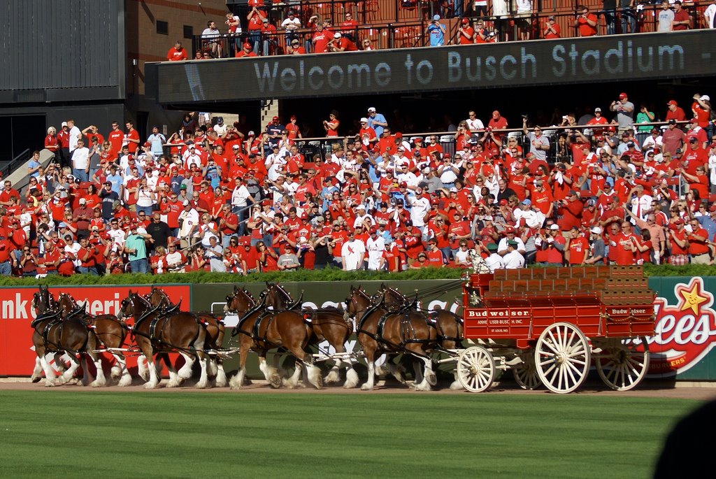 Redbird Rants - The #STLCards need to upgrade over Matthew... | Facebook