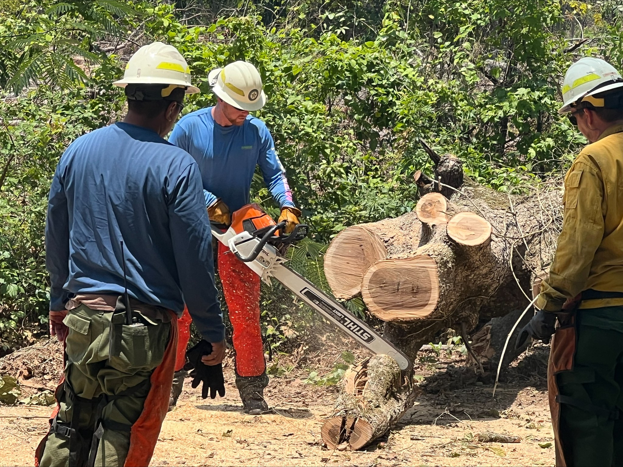 There... - Incident Information - Texas A&M Forest Service