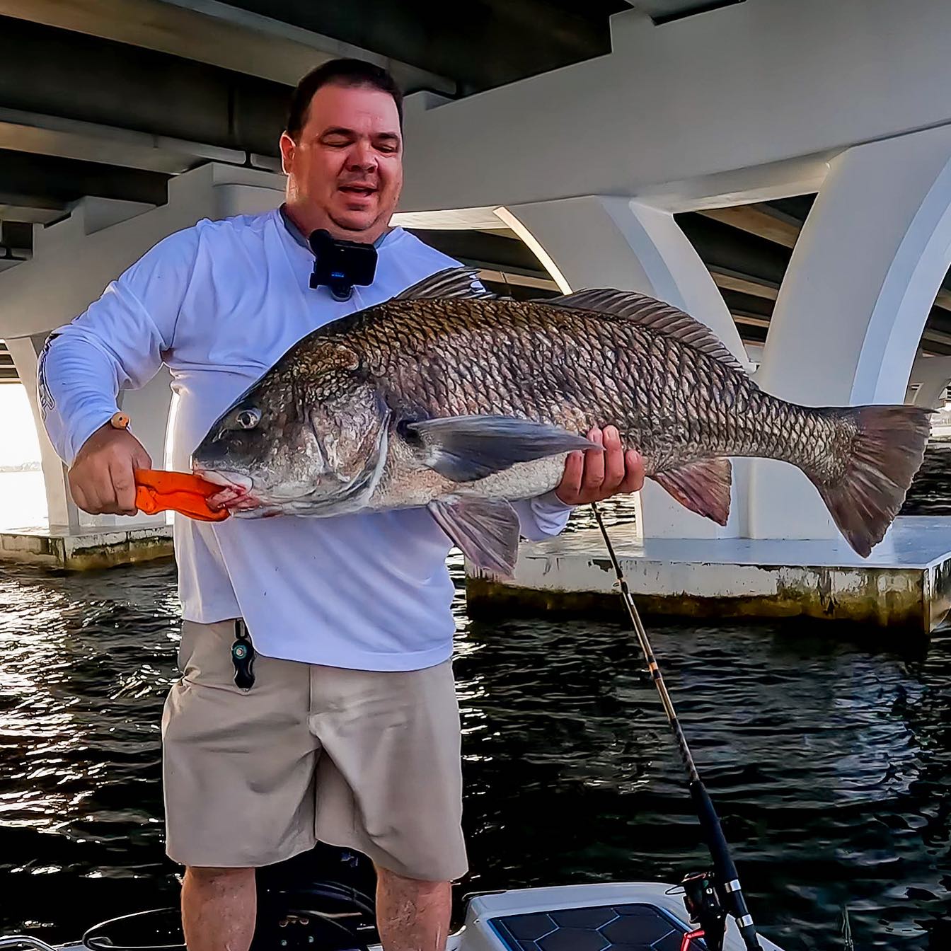 Cameraman Ron - This big girl took my breath away…... | Facebook