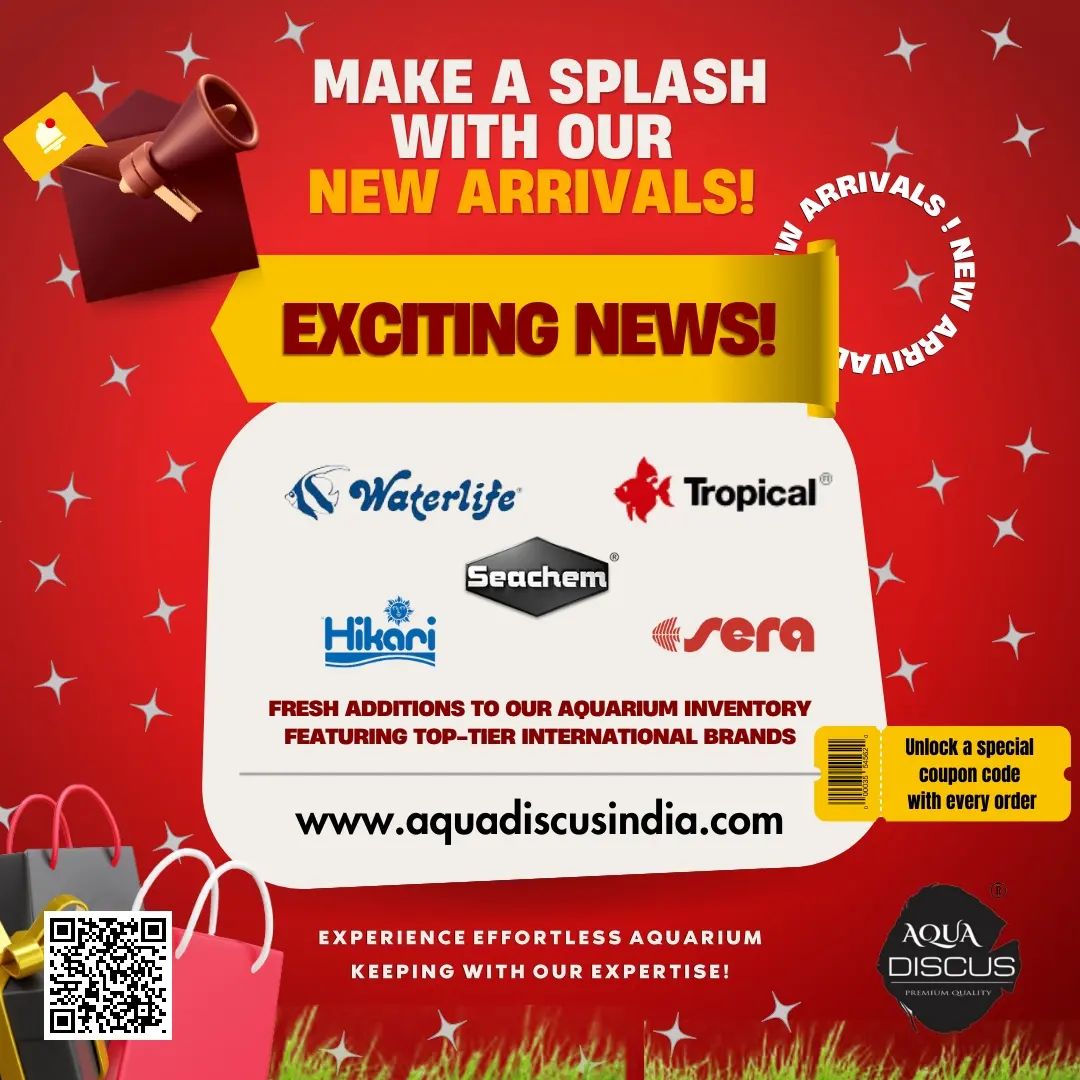 Exciting News! 😀 We've just unveiled... - Aqua Discus India