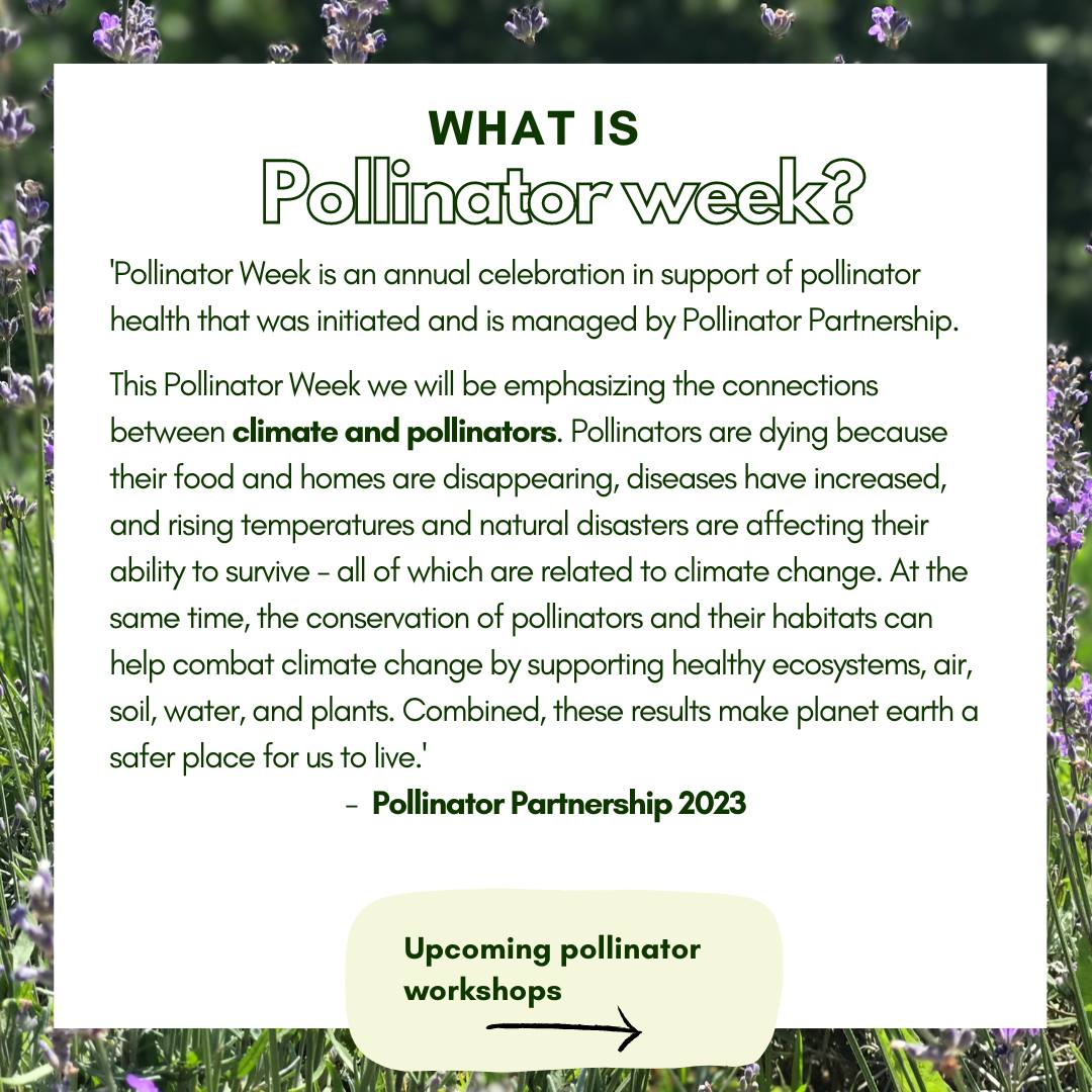 It's National Pollinator Week! 🐝🦋 Pollinators play a vital role in our ...