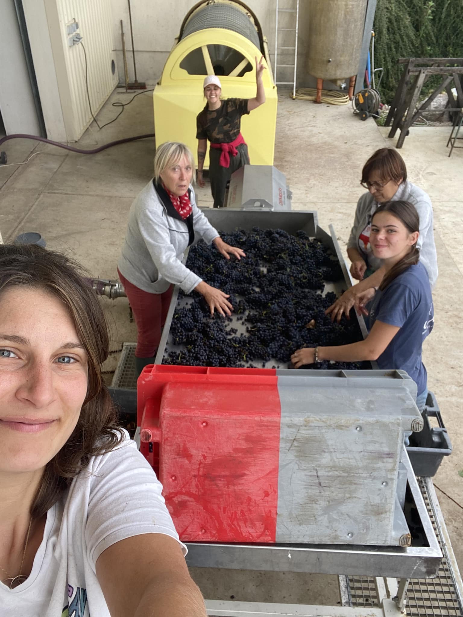 Domaine Moë - 🍇 Les vendanges sont lancées ! Hier nous... | Facebook