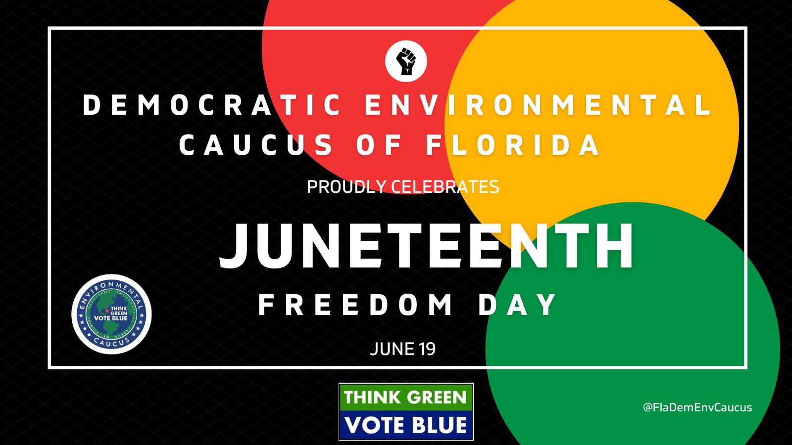 The... - Democratic Environmental Caucus of Florida (DECF)