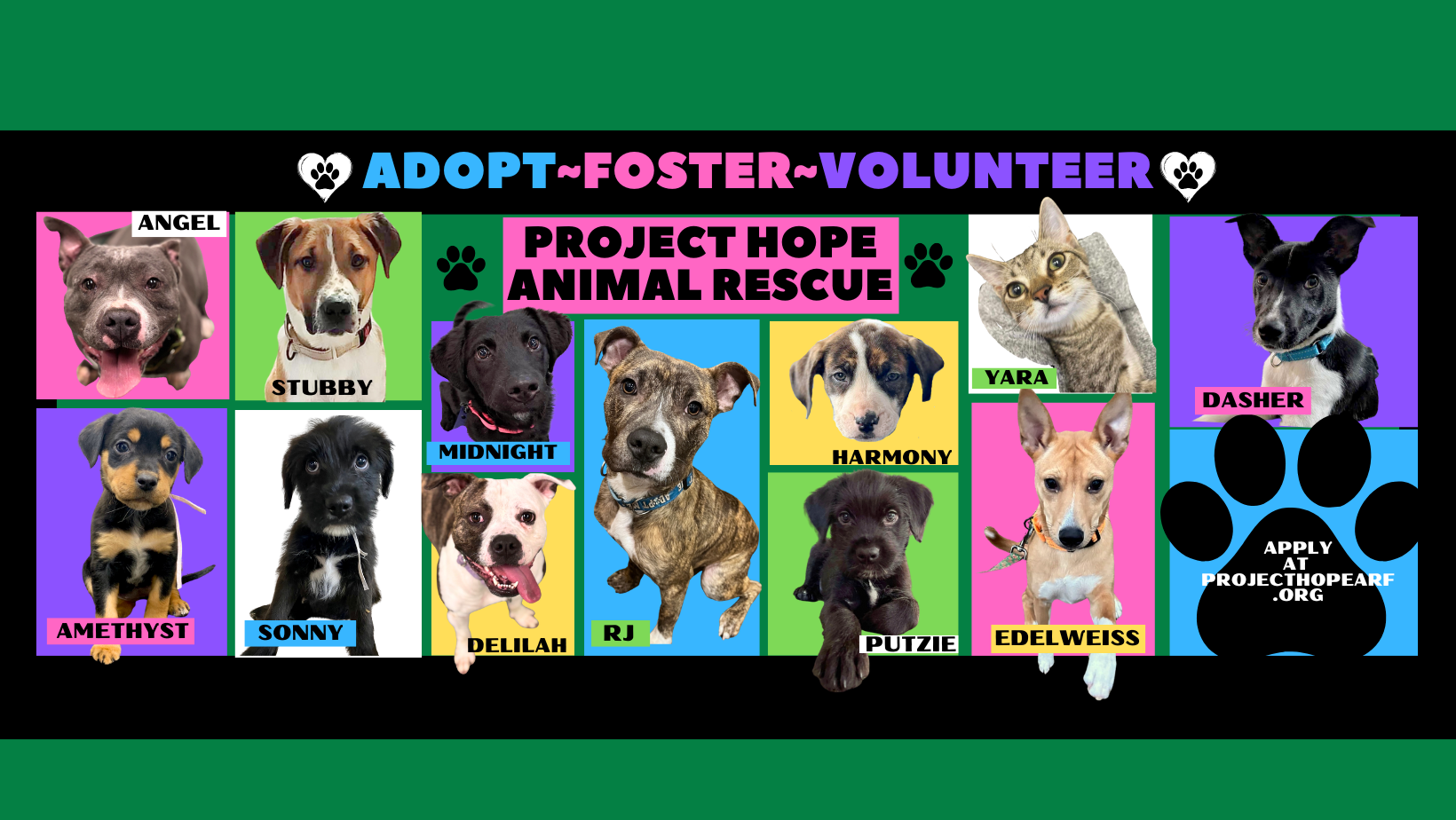 Project Hope Animal Rescue Foundation | Gilberts IL