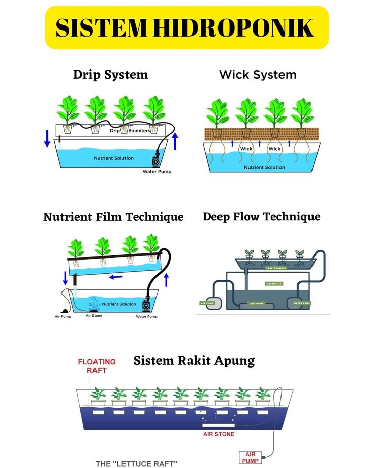 New - various hydroponic systems under the title 