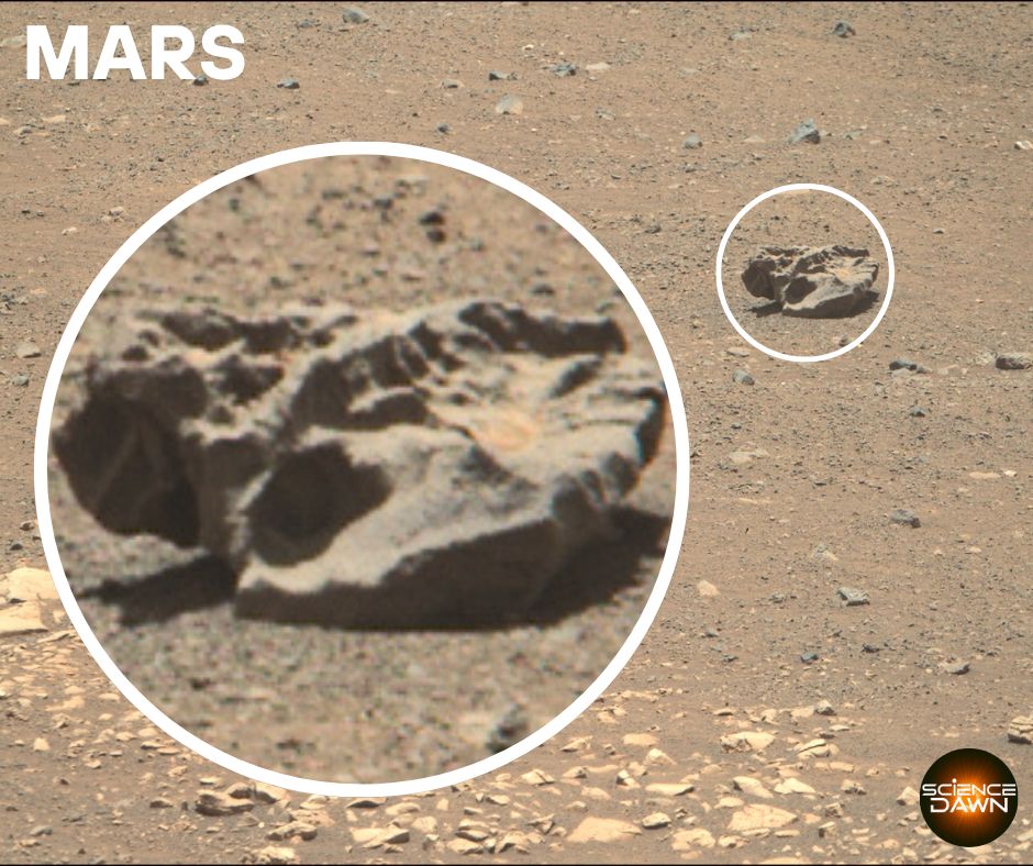 ScienceDawn - NASA's Mars Perseverance rover acquired this image using ...