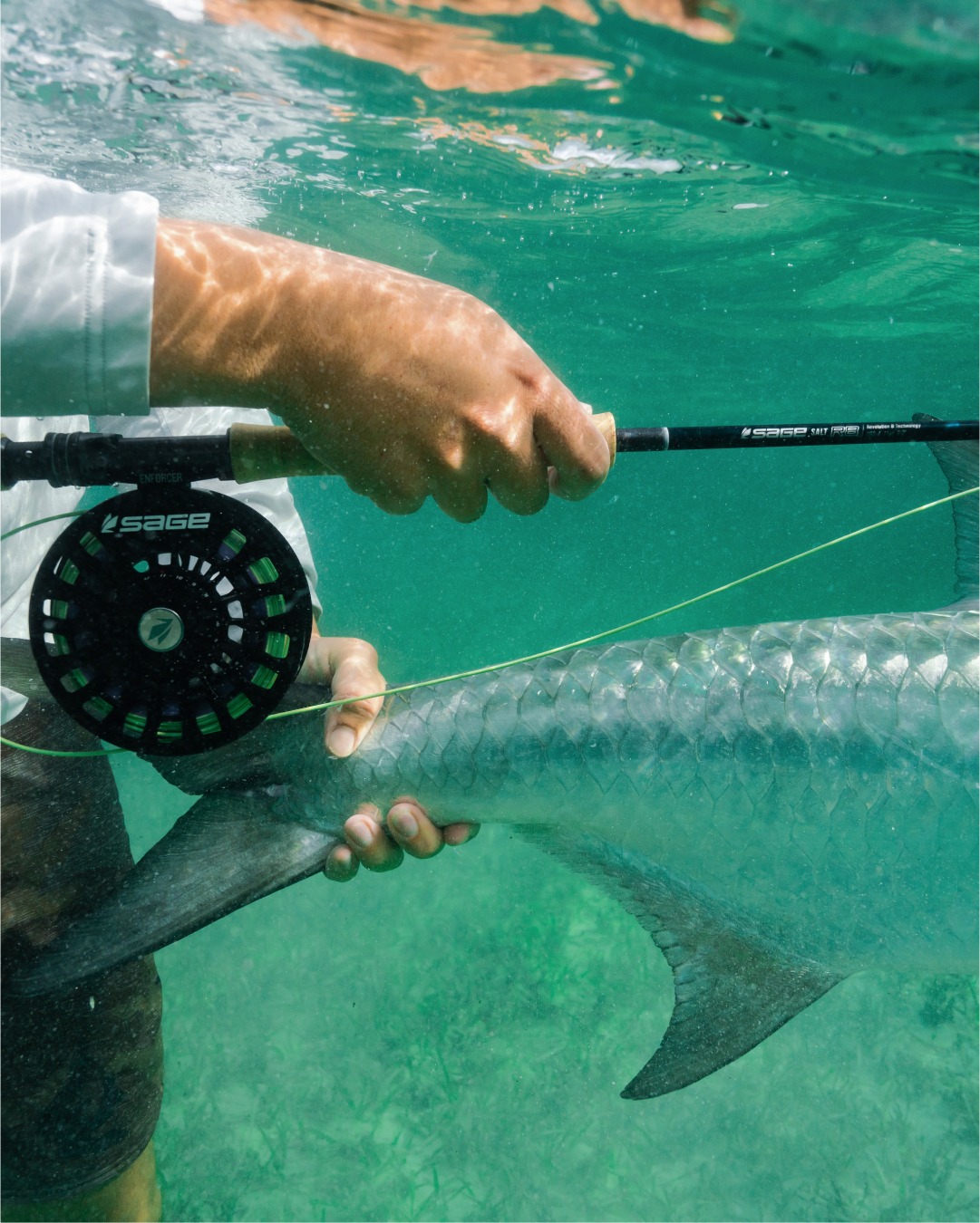 best spinning reel for deep sea fishing Tesoro HOOK-4 Series resistant and smooth operation Weight:6 Weight Abu Garcia Beast SP