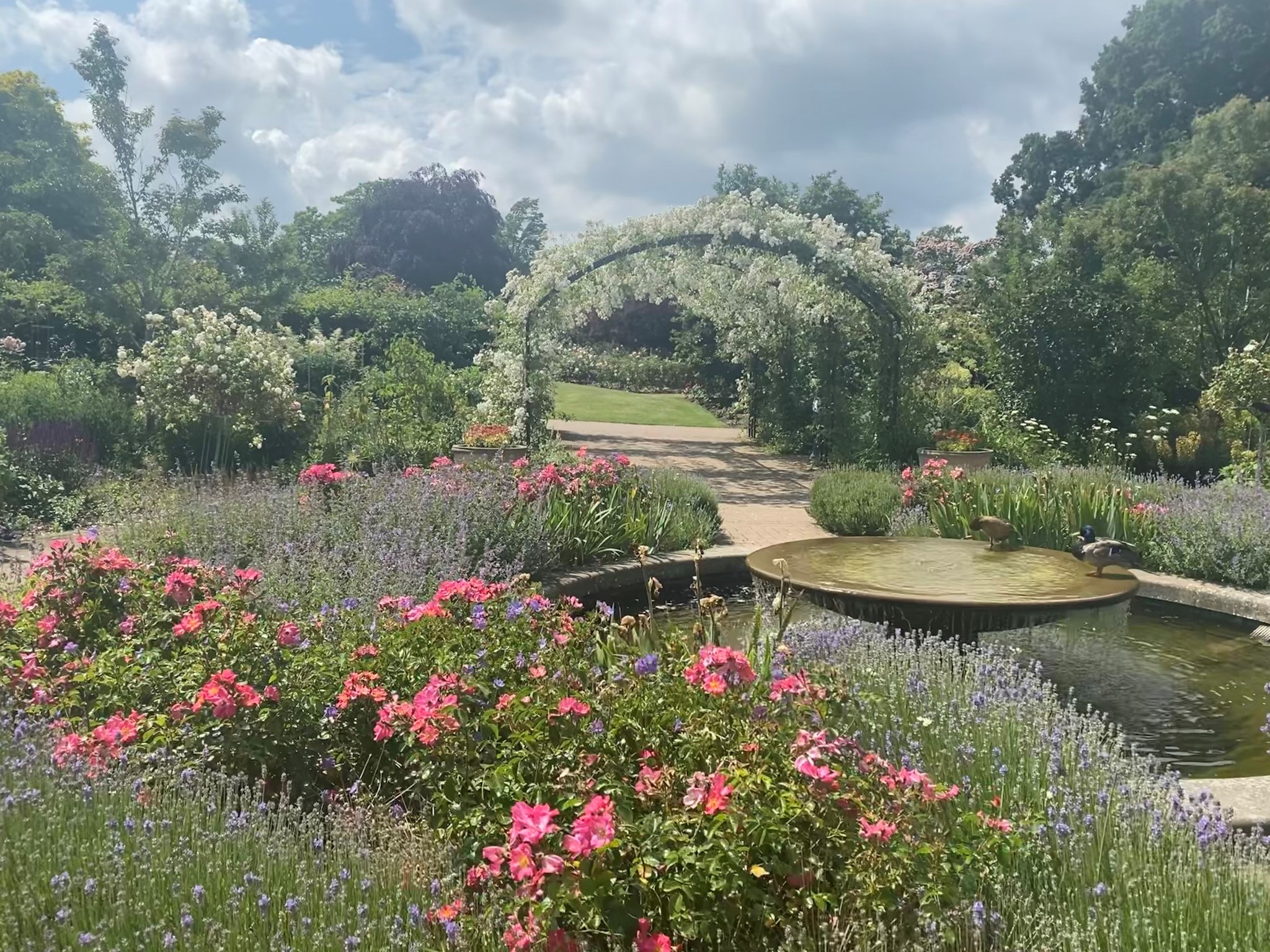 The Cottage Garden is a must-see at... - RHS Garden Wisley | Facebook