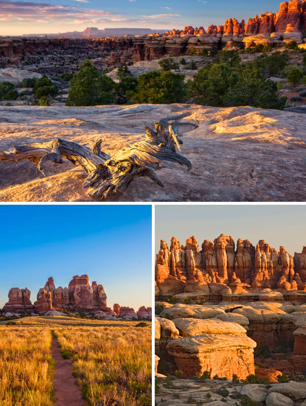 Bode - The Needles, Canyonlands National Park, Utah 🇺🇲 The Needles ...