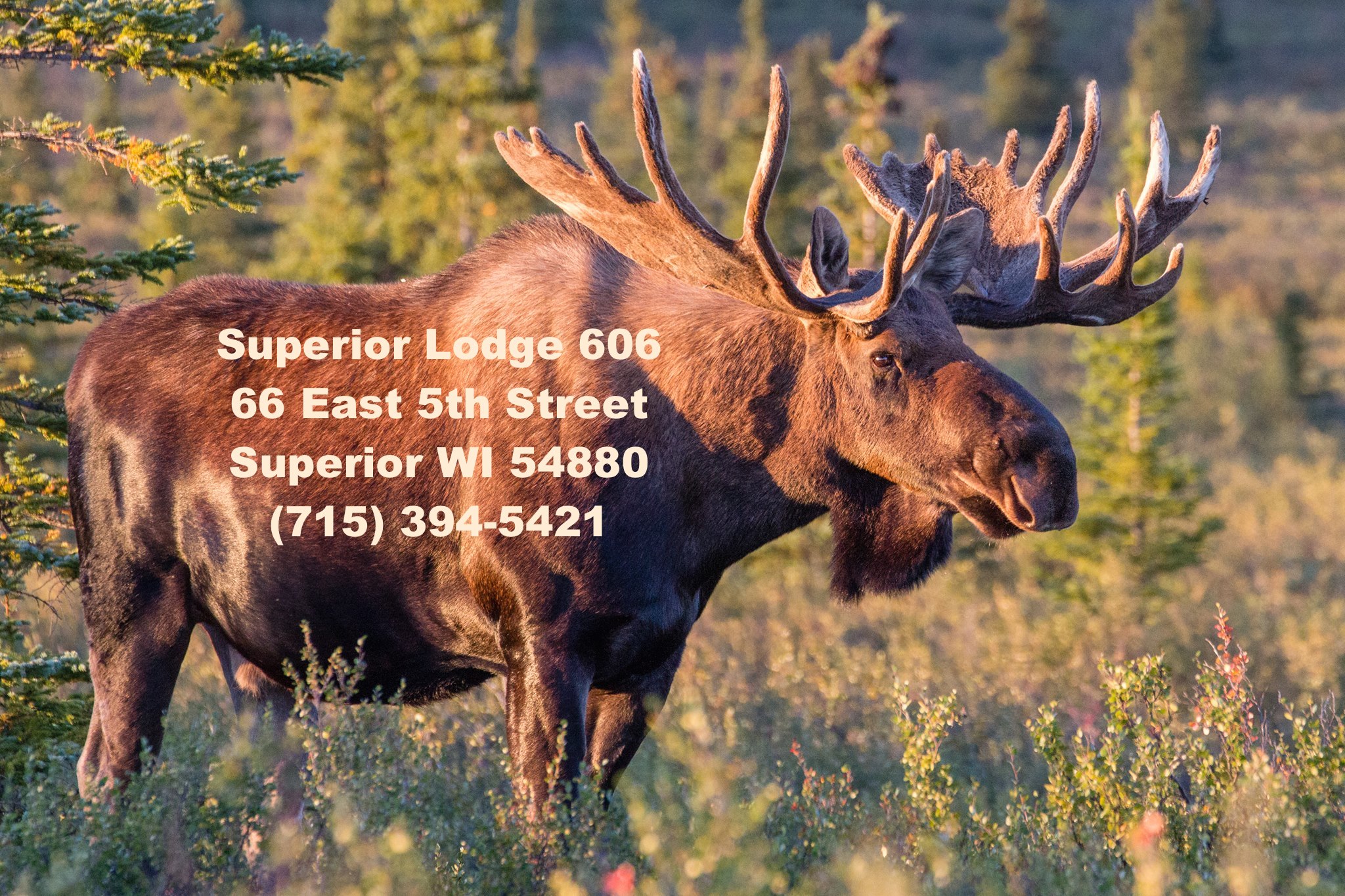 🍸 **READY TO GET YOUR... - Superior WI Elks Lodge #403 | Facebook