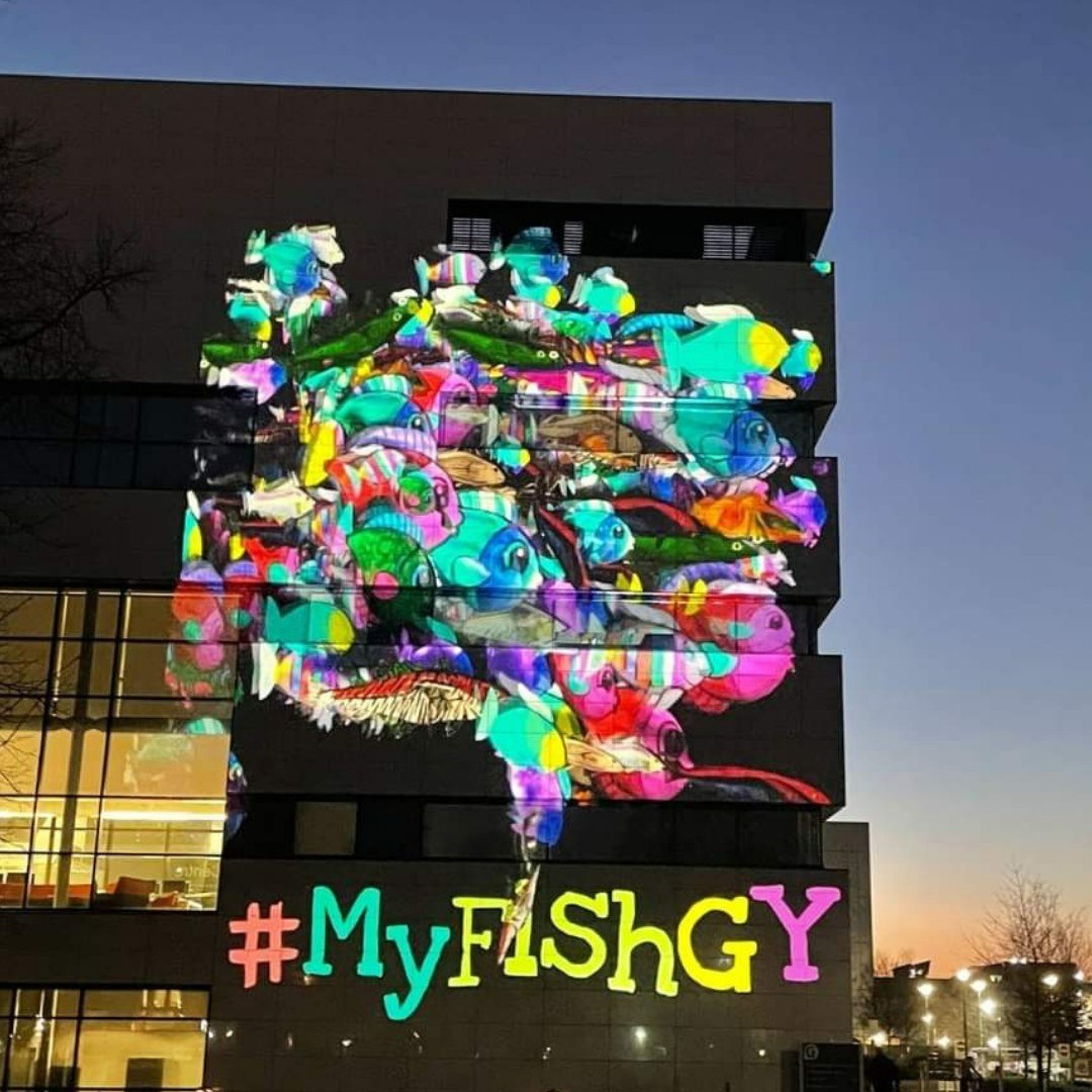 Grimsby Creates - Myfishgy Virtual Fish Tank has been built and it is ...