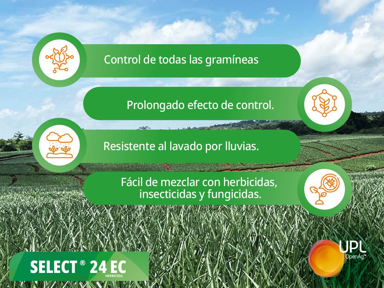 Promoción Select® 24 EC es el... - UPL Corp Centroamérica | Facebook