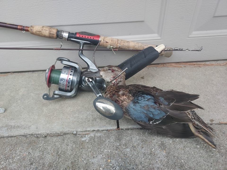 duck retriever fishing pole Decoy bait rigs such as the umbrella rig Golden Retriever, LLC