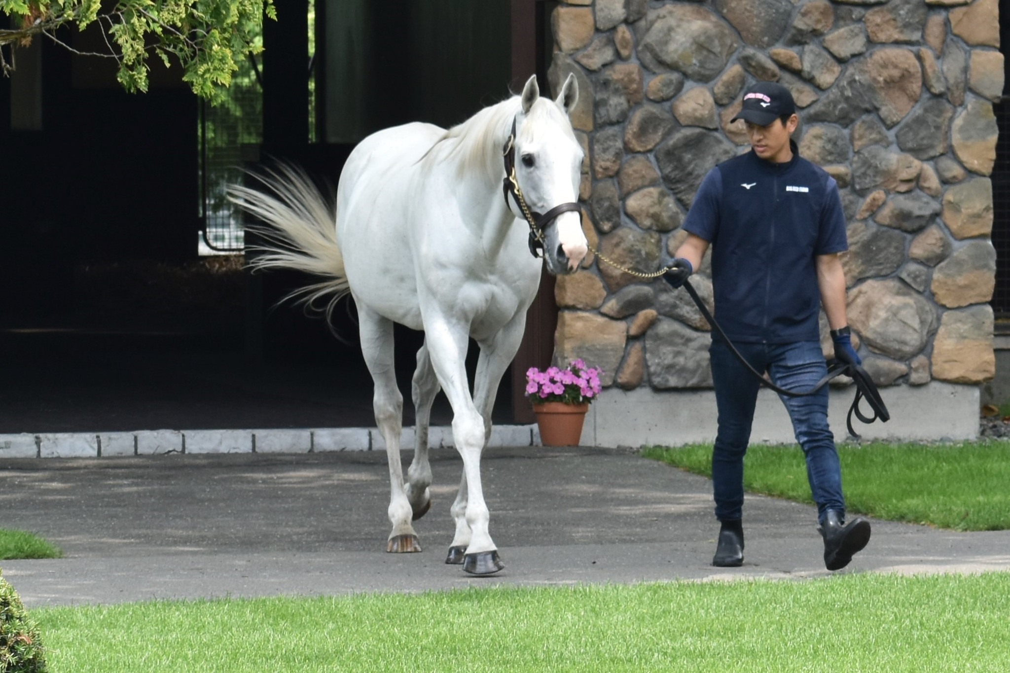 公の場での発言・インタビュー報道記録