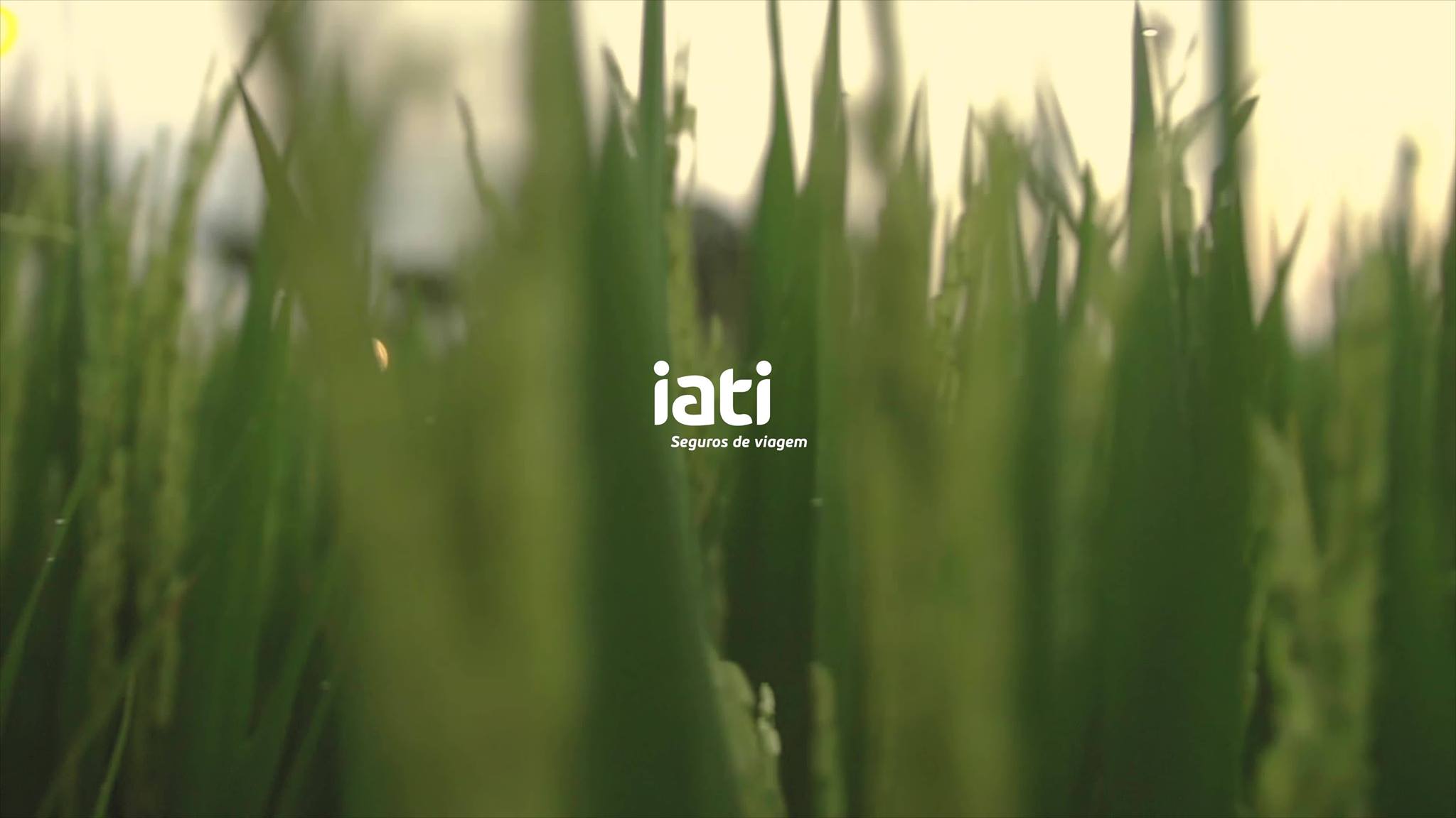 IATI Seguros Portugal