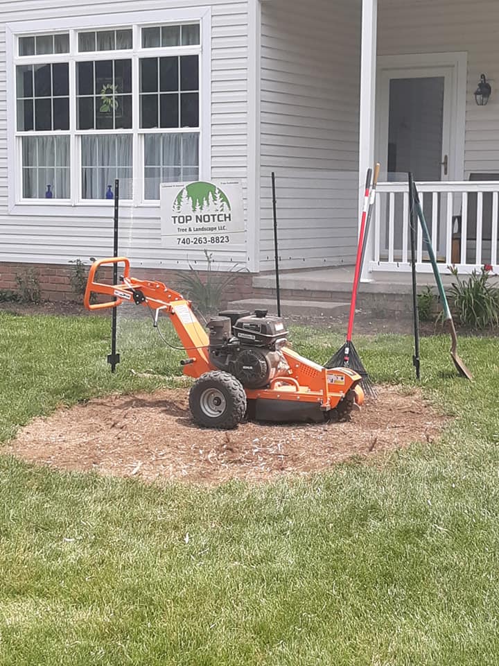 Top Notch Tree & Landscape | Knox County OH