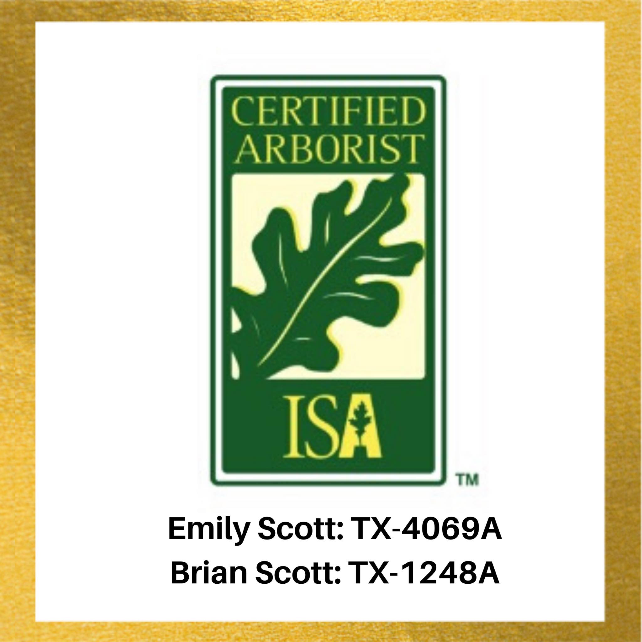 TreeMedics of Amarillo - Hiring a Certified Arborist means you are ...
