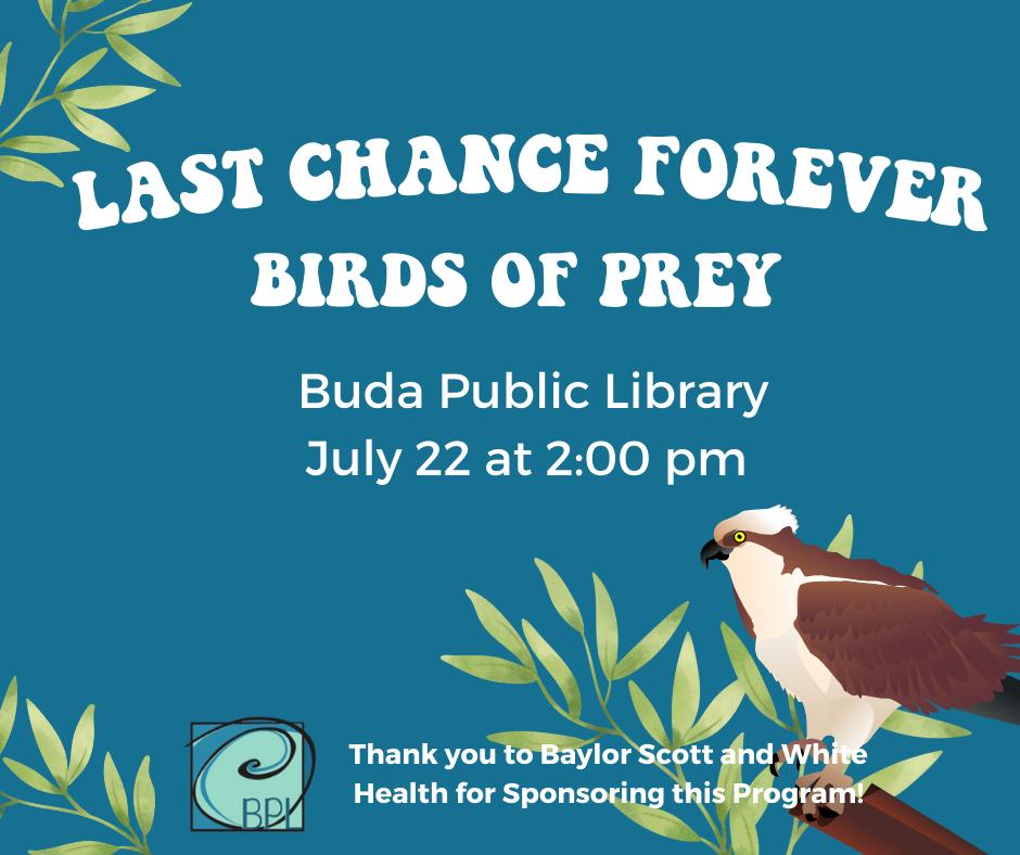 Learn about birds of prey while... - Buda Public Library
