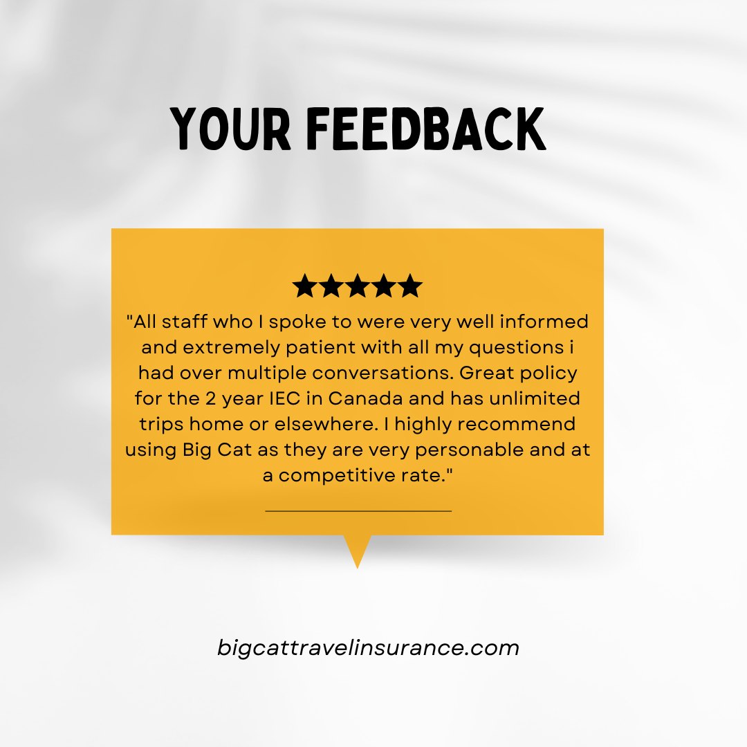 Big Cat Travel Insurance | London