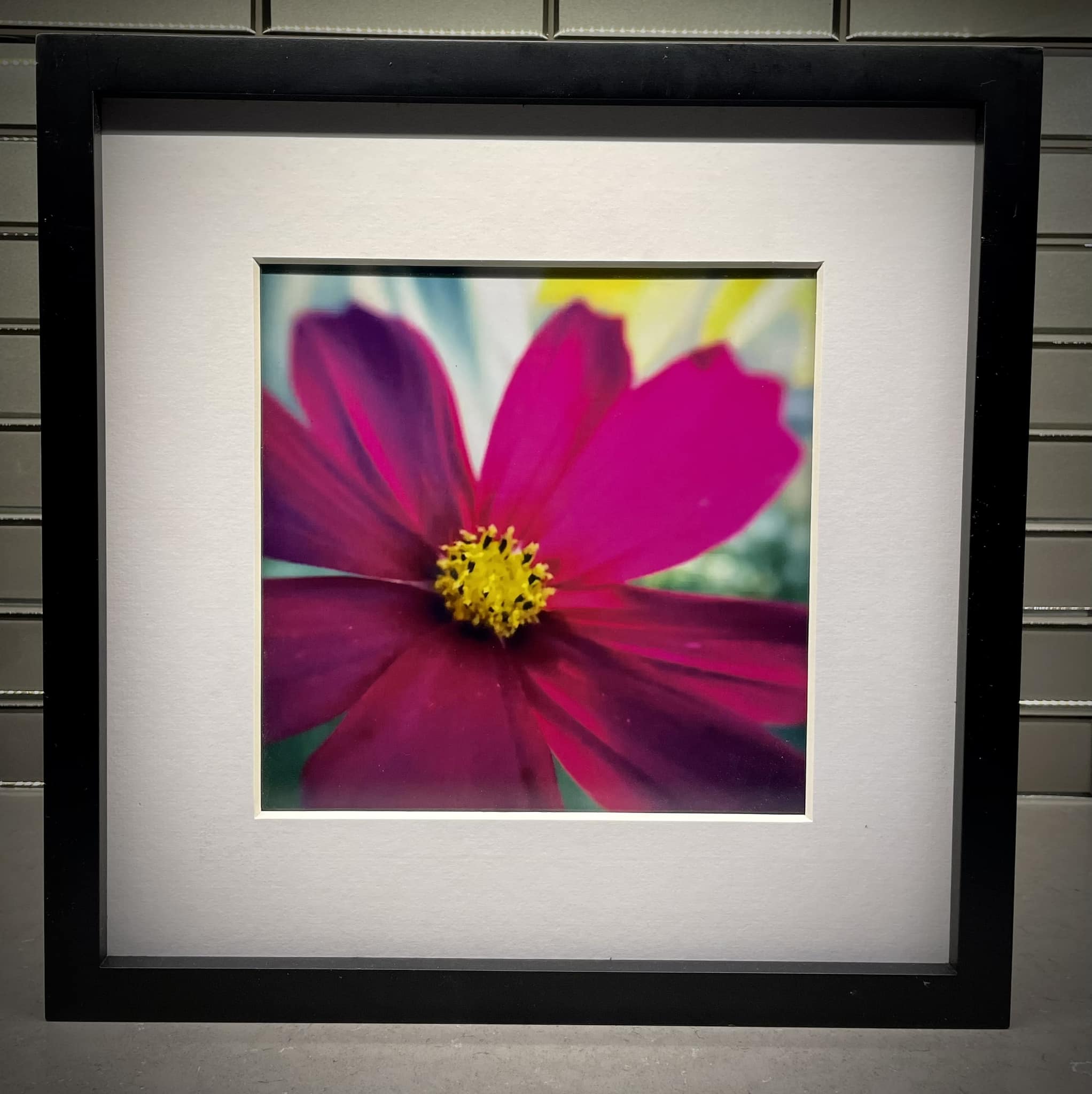 Randy Wilson, LLC -Art, Entertainment and Dance | Appleton WI