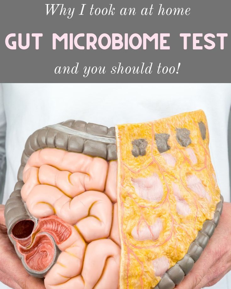 Healing - An Inside Look at Gut Microbiome Testing for Health https ...