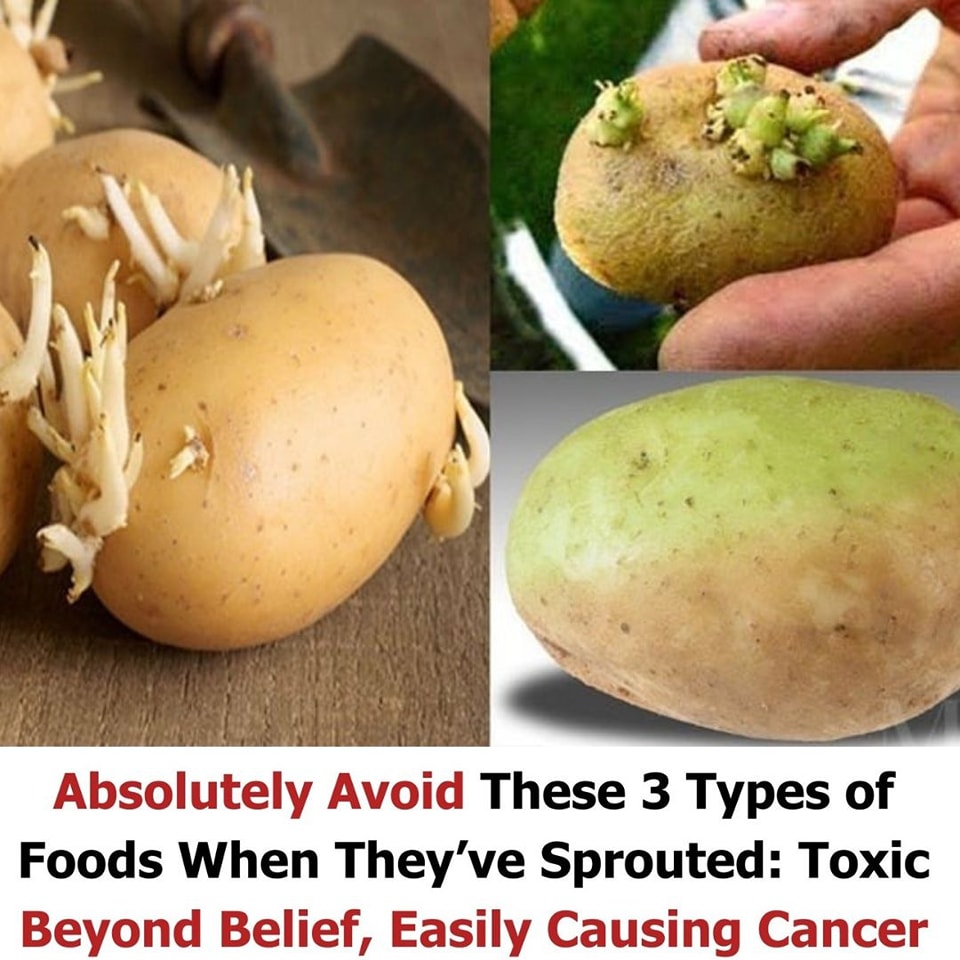 Better Thoughts - Absolutely avoid these 3 foods once they have ...