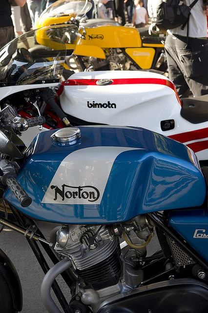 The Flash Rabbit Garage