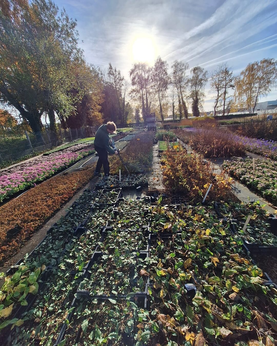 Botanisk | Bocholt